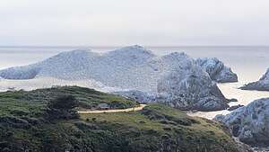 Trail to Bird Island